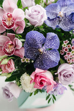 Load image into Gallery viewer, Hat Box with Macarons - Purple Gem