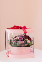 Load image into Gallery viewer, Tender Pastel Dome