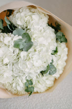Load image into Gallery viewer, White Hydrangea Mono Bouquet