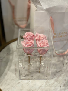 Luxe Forever Roses *LAST MORE THAN A YEAR*